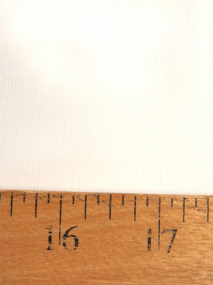 28 Wale Stretch Corduroy / Prime for Dye / Stretch Corduroy - Image 3