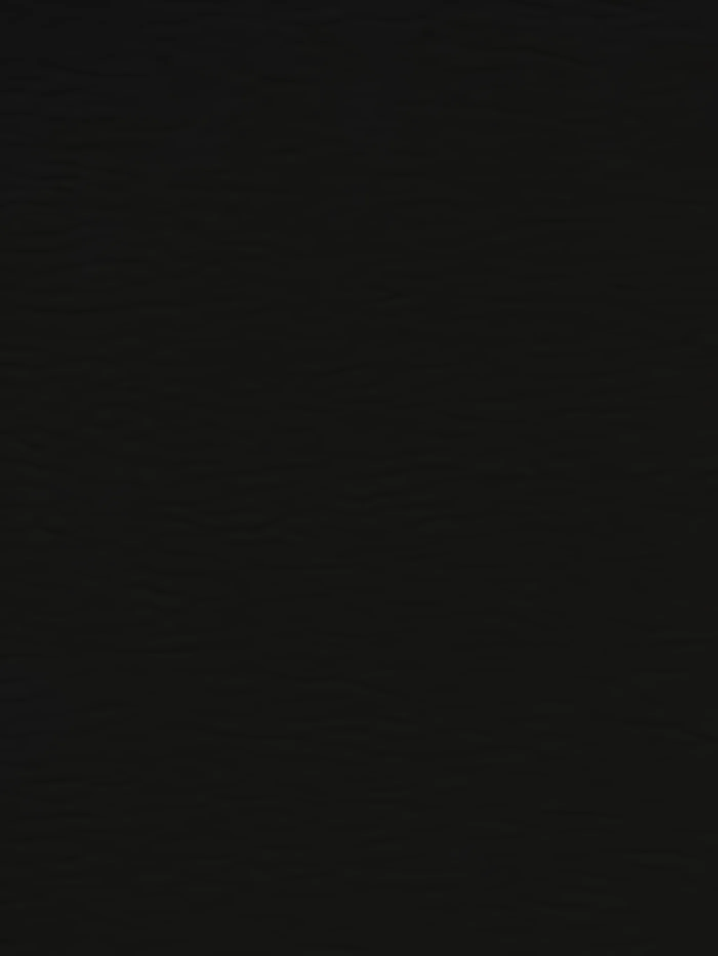 Black Premium Auto & Contract Vinyl - Palma Vinyl