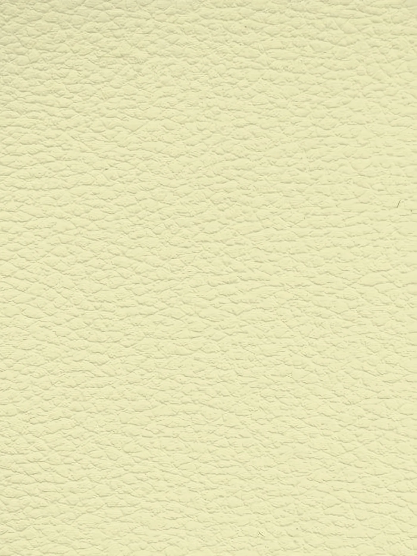 CREAM Premium Auto & Contract Vinyl - Palma Vinyl