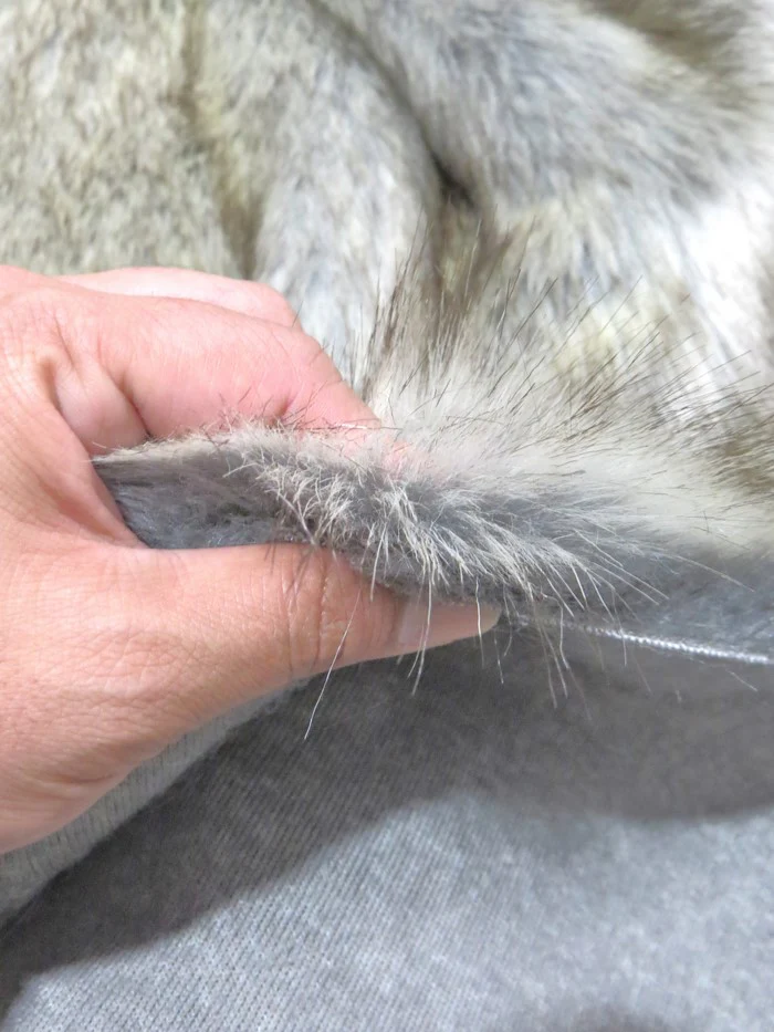 Glacier Wolf Animal Coat Costume Faux Fur Fabric / Sold By The Yard - Image 2